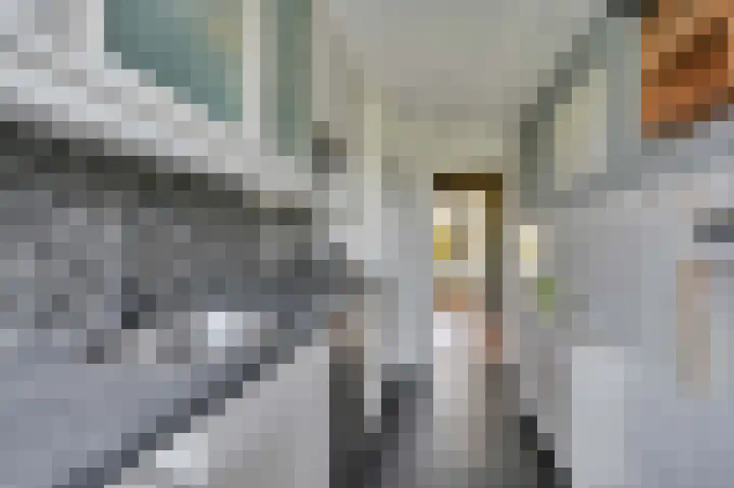 Da Costaplein 26 D Maassluis thumbnail 20