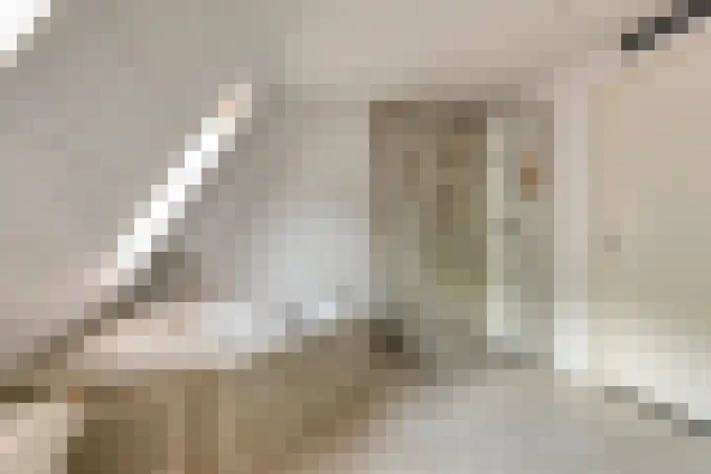 Da Costasingel 31 Capelle aan den IJssel thumbnail 32