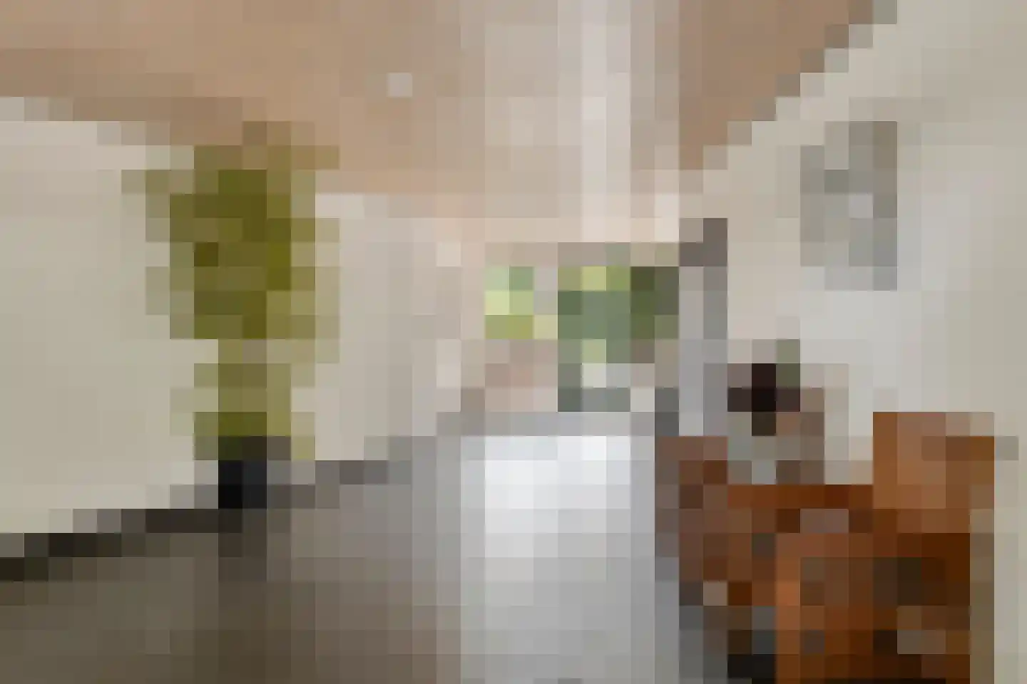 Da Costasingel 31 Capelle aan den IJssel thumbnail 4