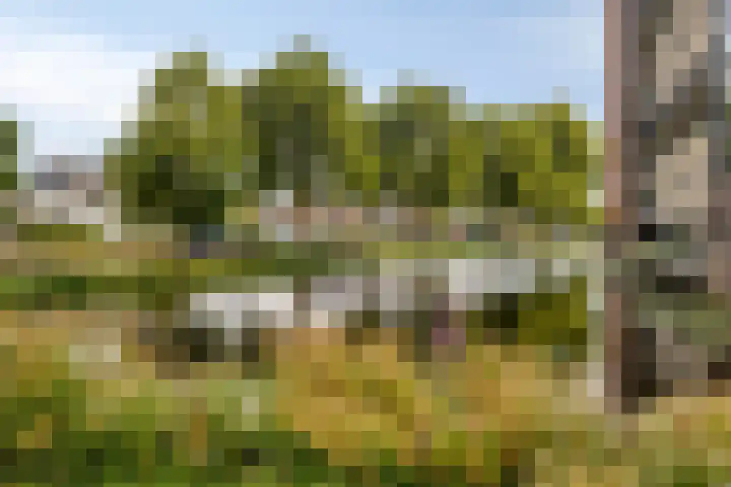 Da Costasingel 31 Capelle aan den IJssel thumbnail 42