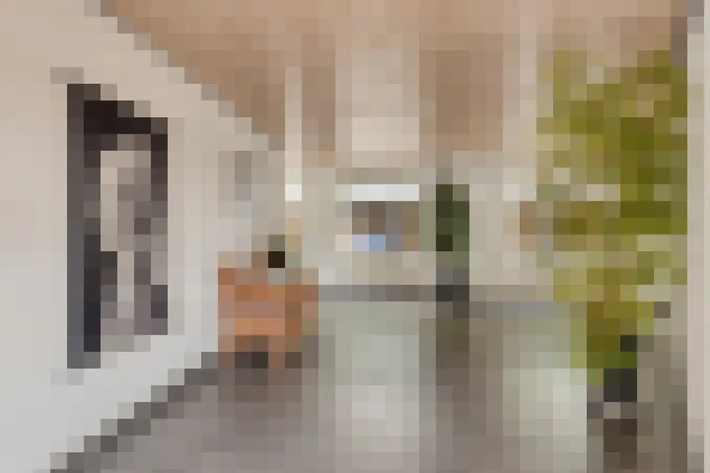 Da Costasingel 31 Capelle aan den IJssel thumbnail 5