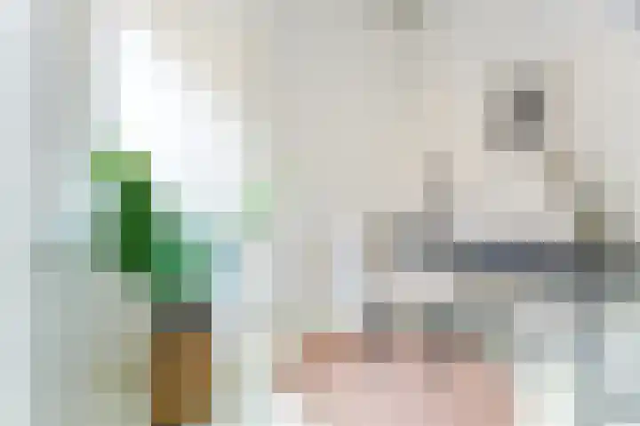 Da Costastraat 10 2 Amsterdam thumbnail 9