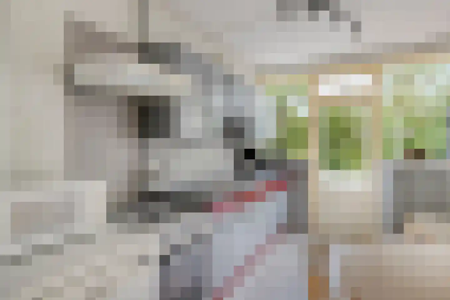 Da Costastraat 10 Alblasserdam thumbnail 9