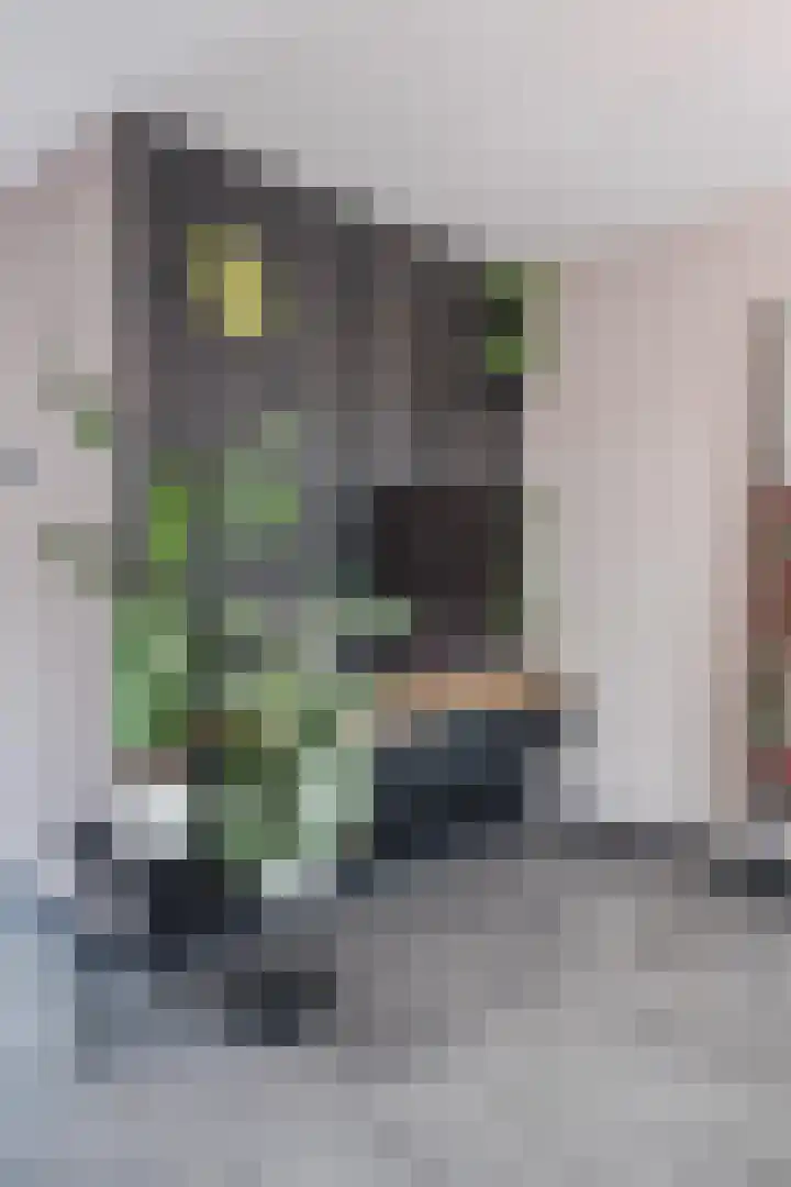 Da Costastraat 10 Lekkerkerk thumbnail 10