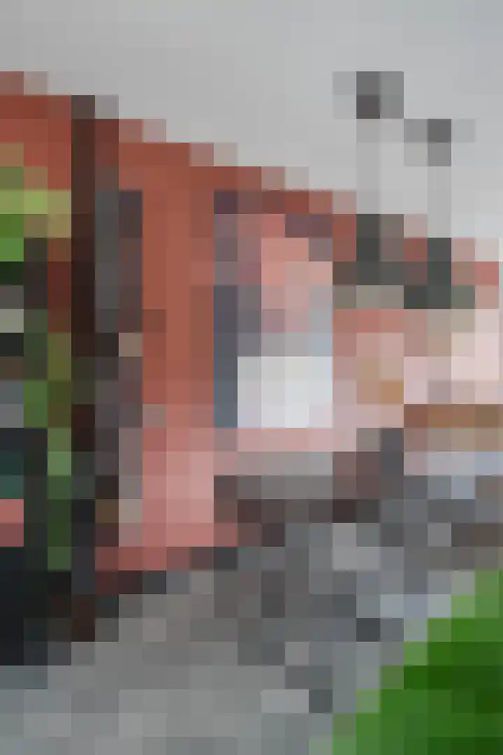 Da Costastraat 10 Lekkerkerk thumbnail 11