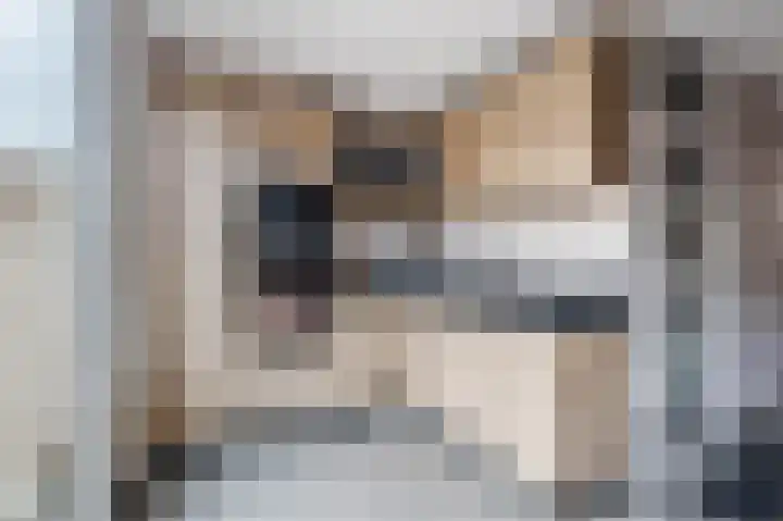 Da Costastraat 10 Lekkerkerk thumbnail 13