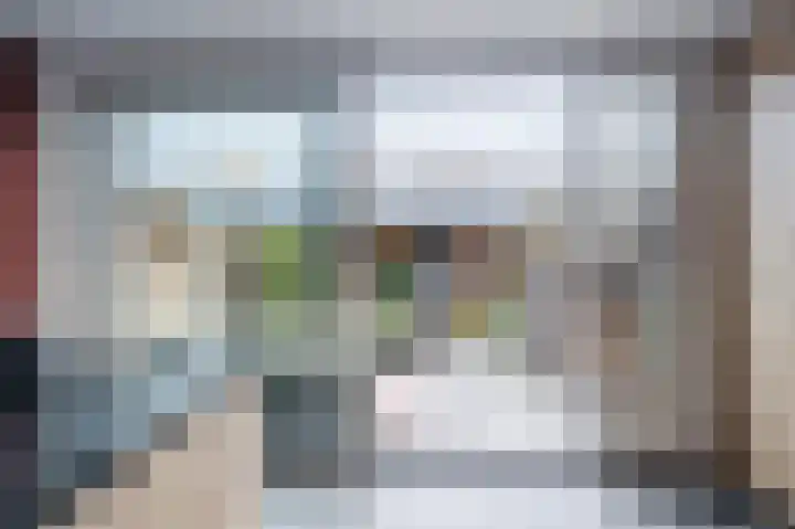 Da Costastraat 10 Lekkerkerk thumbnail 15
