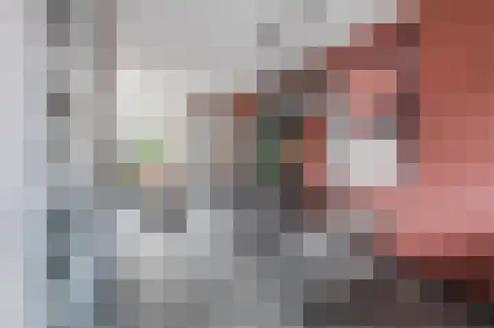 Da Costastraat 10 Lekkerkerk thumbnail 16
