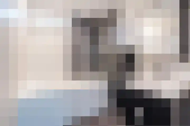 Da Costastraat 10 Lekkerkerk thumbnail 26