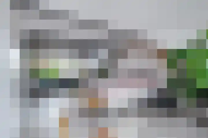 Da Costastraat 10 Lekkerkerk thumbnail 28