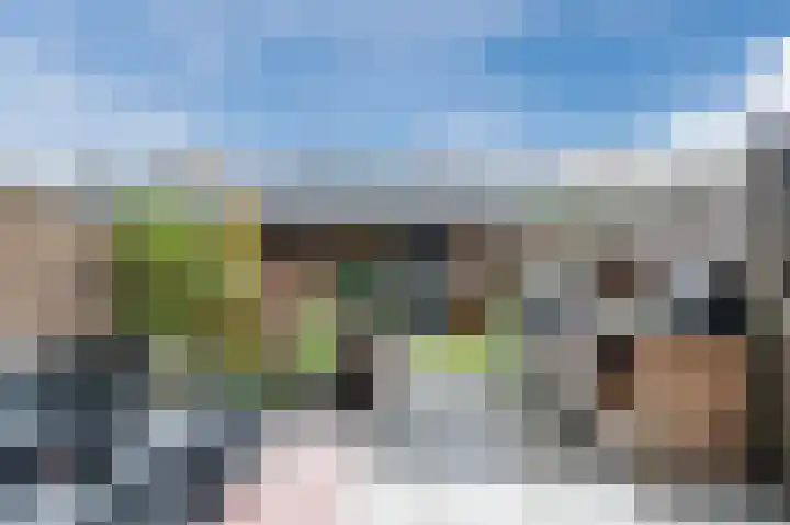 Da Costastraat 10 Lekkerkerk thumbnail 29