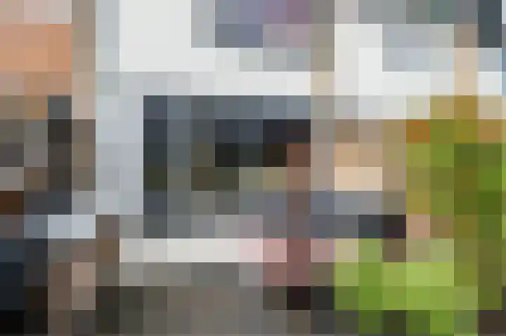 Da Costastraat 10 Lekkerkerk thumbnail 32
