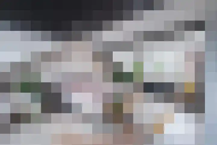 Da Costastraat 10 Lekkerkerk thumbnail 5