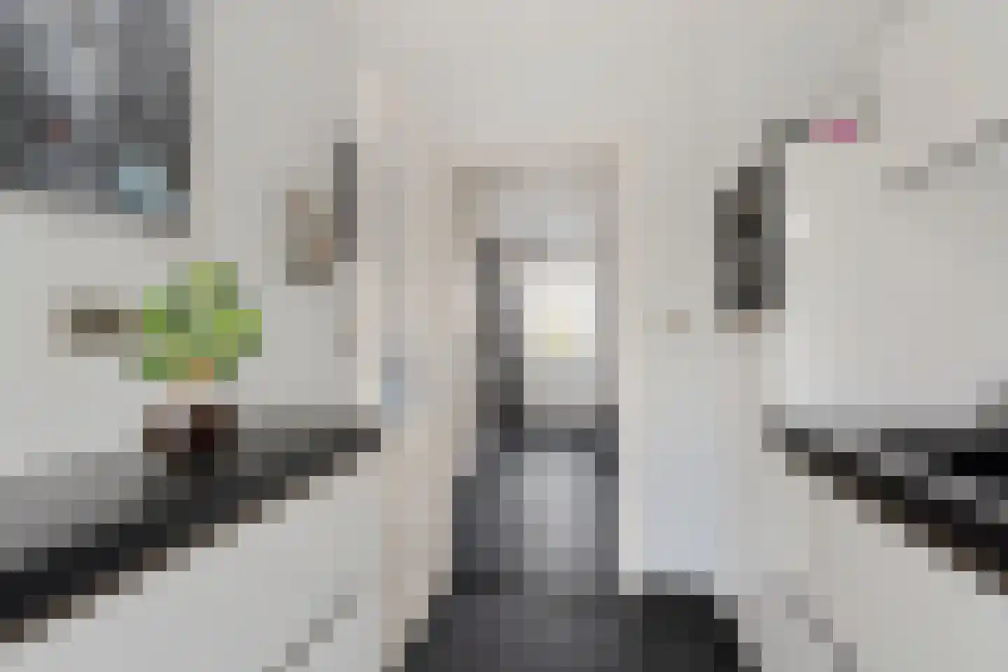 Da Costastraat 10 Rosmalen thumbnail 13