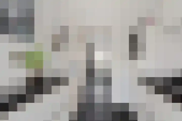 Da Costastraat 10 Rosmalen thumbnail 13