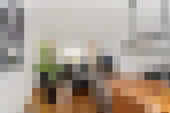 Da Costastraat 10 Rosmalen thumbnail 9