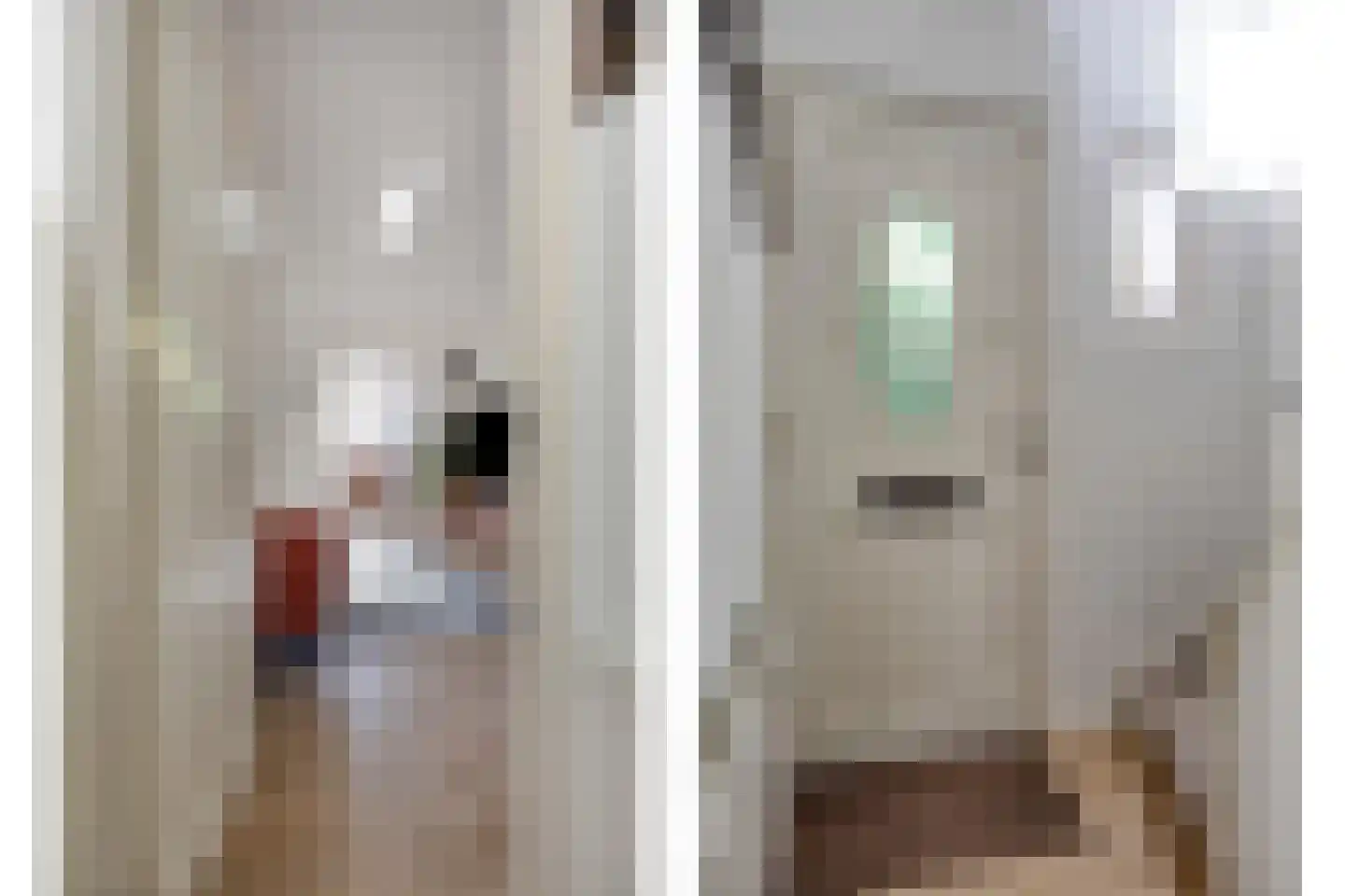 Da Costastraat 10 Tilburg thumbnail 16