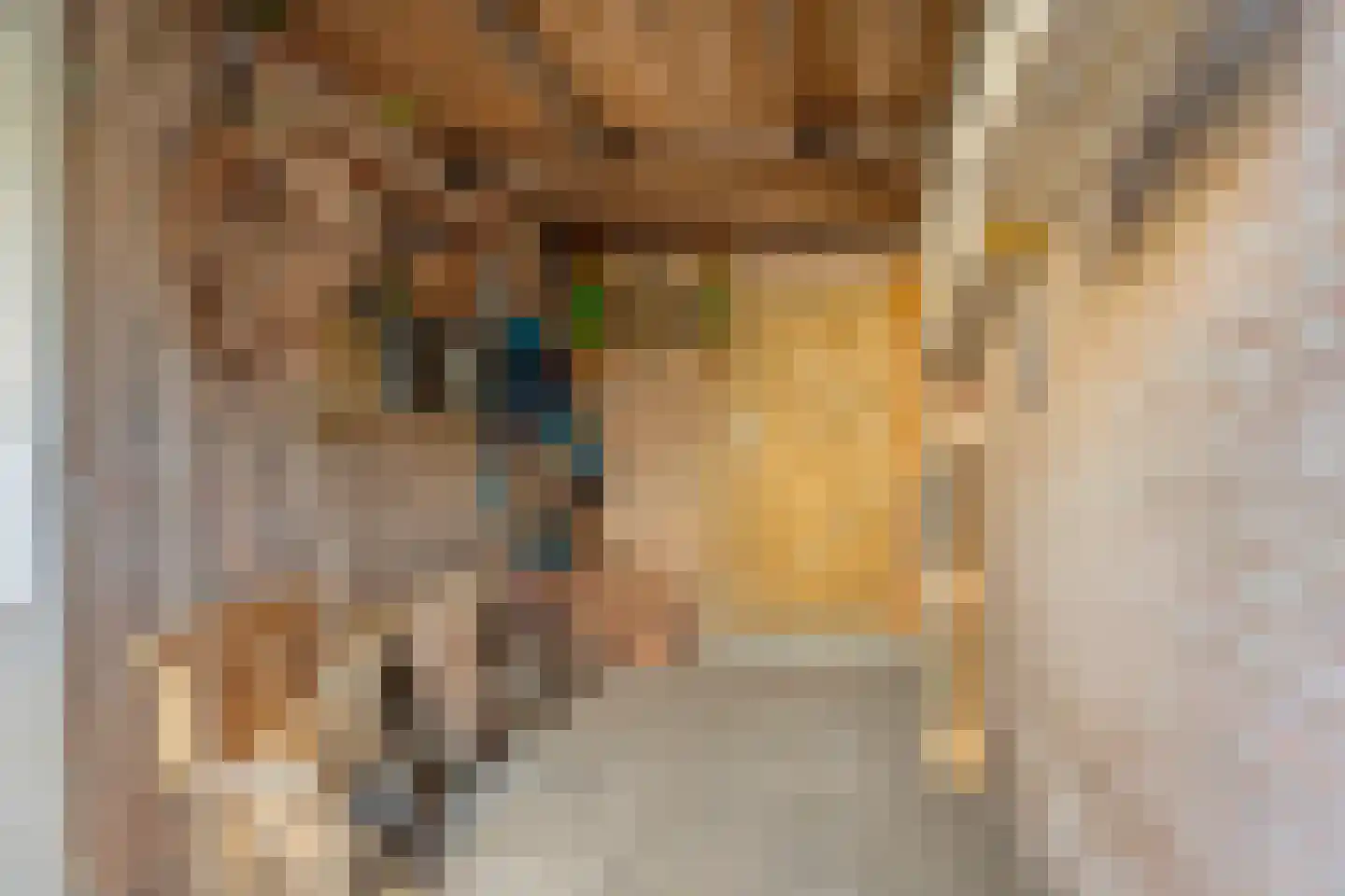 Da Costastraat 10 Tilburg thumbnail 28