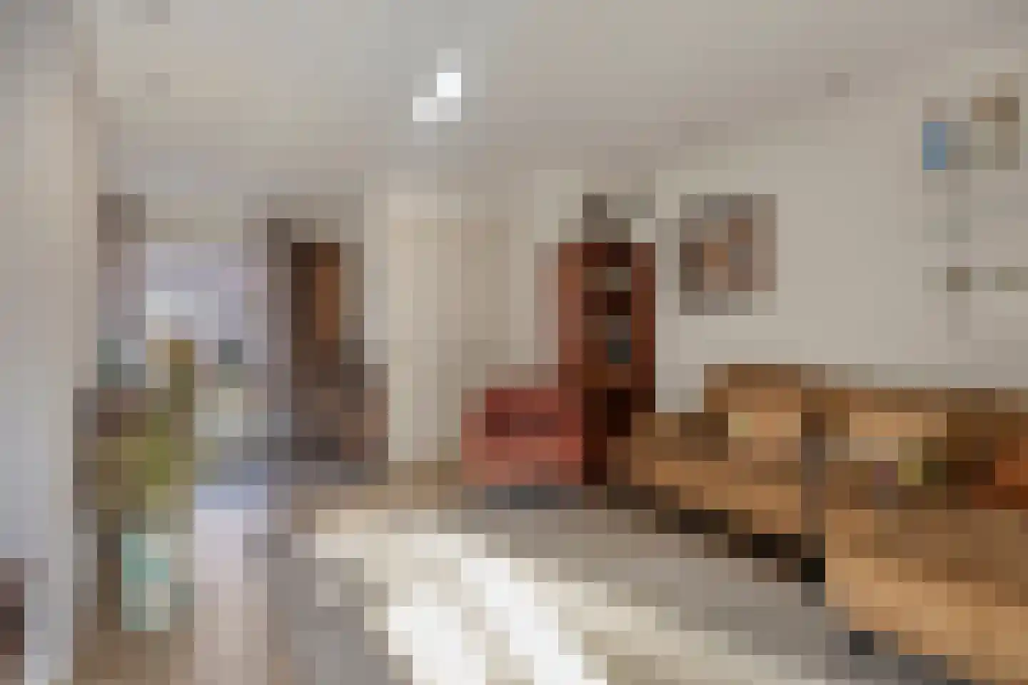 Da Costastraat 10 Tilburg thumbnail 4