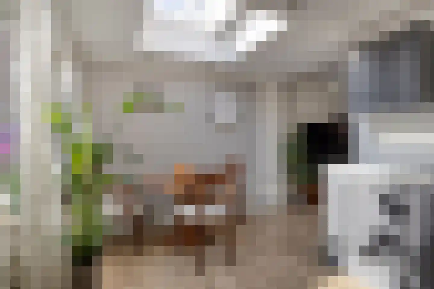 Da Costastraat 10 Tilburg thumbnail 9