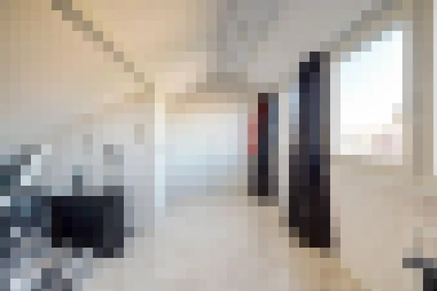 Da Costastraat 104 Hoogeveen thumbnail 31