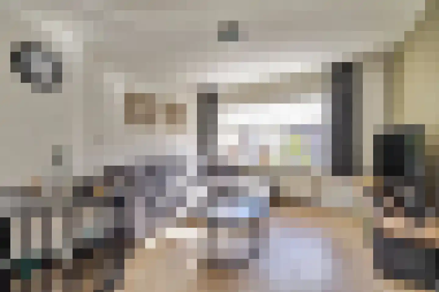 Da Costastraat 104 Hoogeveen thumbnail 7
