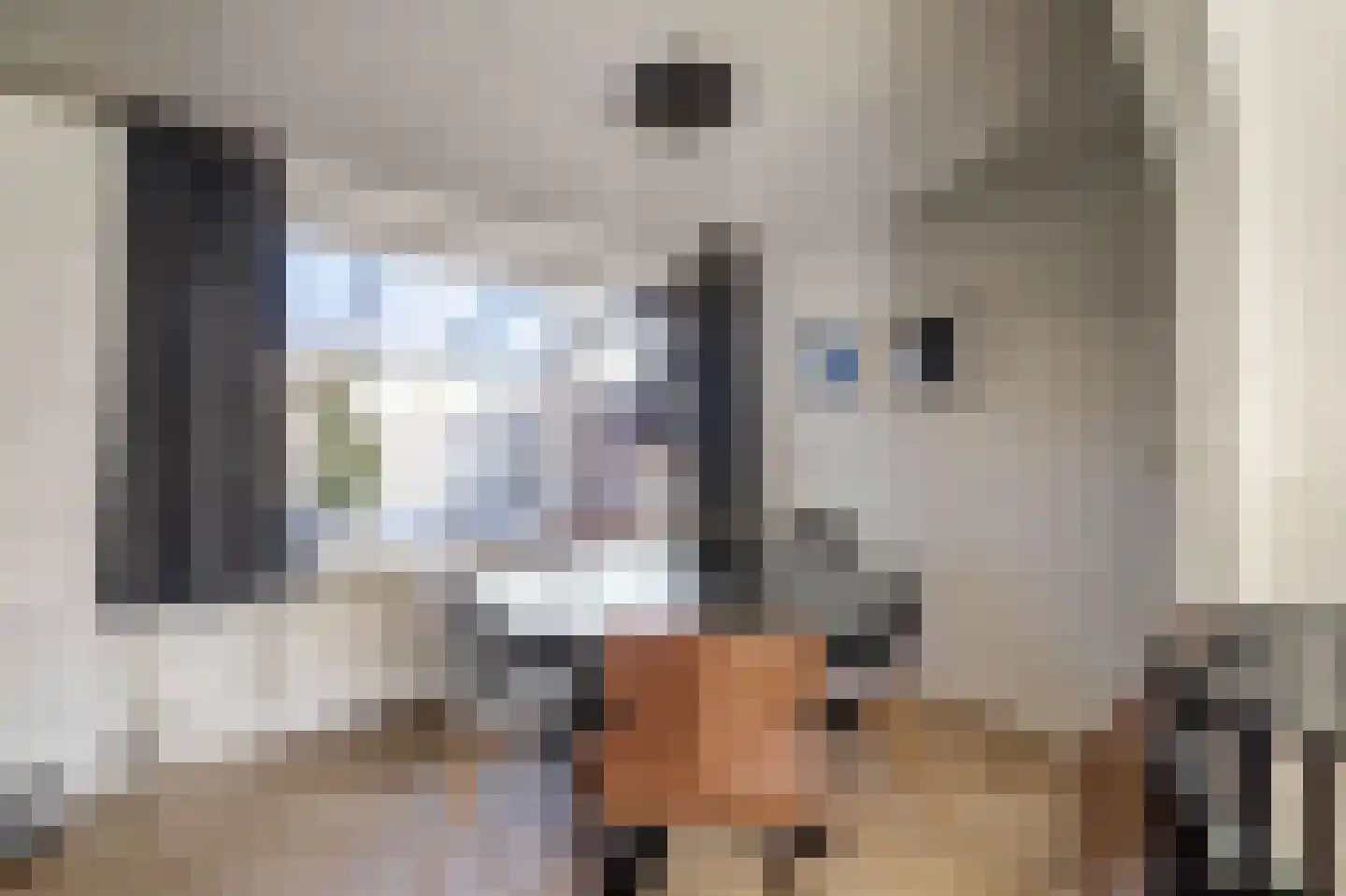 Da Costastraat 104 Hoogeveen thumbnail 9