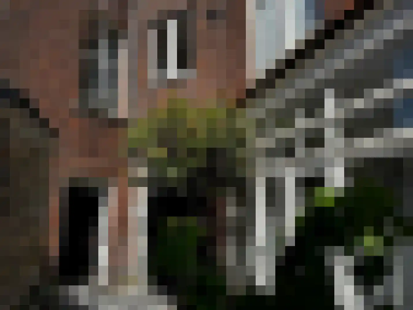 Da Costastraat 107 Den Haag thumbnail 4