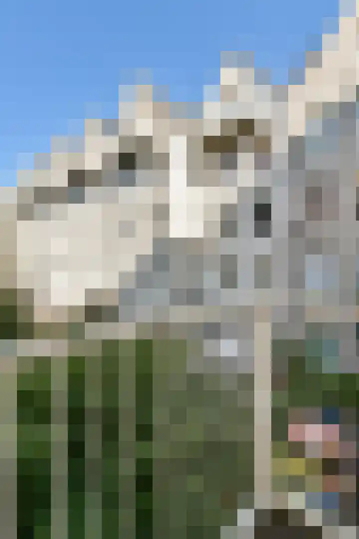 Da Costastraat 110 B Amsterdam thumbnail 11