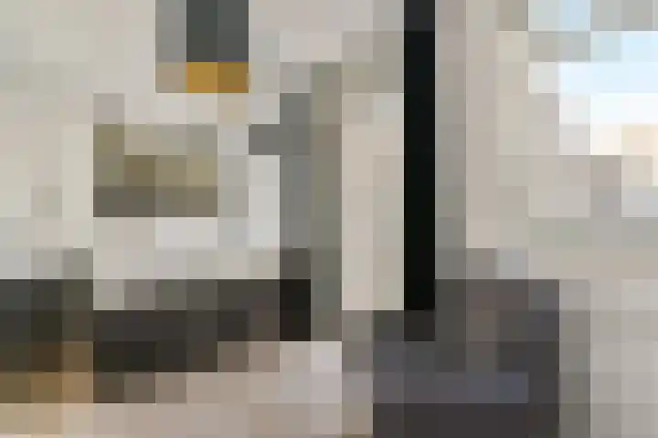 Da Costastraat 110 B Amsterdam thumbnail 8
