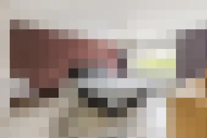 Da Costastraat 110 Hoogeveen thumbnail 17