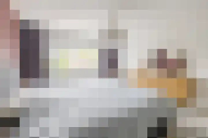 Da Costastraat 110 Hoogeveen thumbnail 18