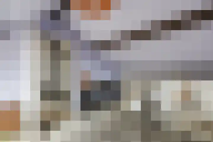 Da Costastraat 110 Hoogeveen thumbnail 33