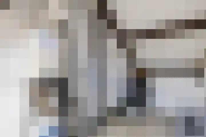 Da Costastraat 110 Hoogeveen thumbnail 35