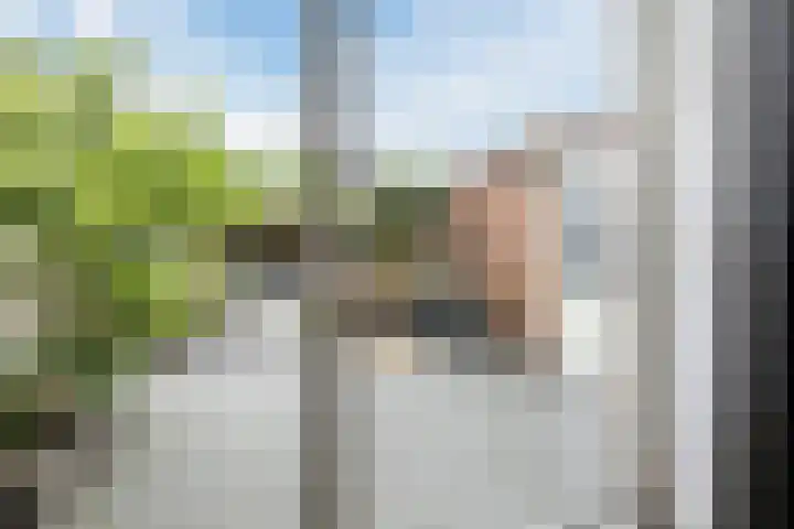 Da Costastraat 110 Hoogeveen thumbnail 36