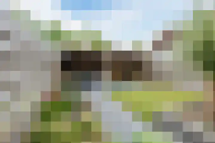 Da Costastraat 110 Hoogeveen thumbnail 39