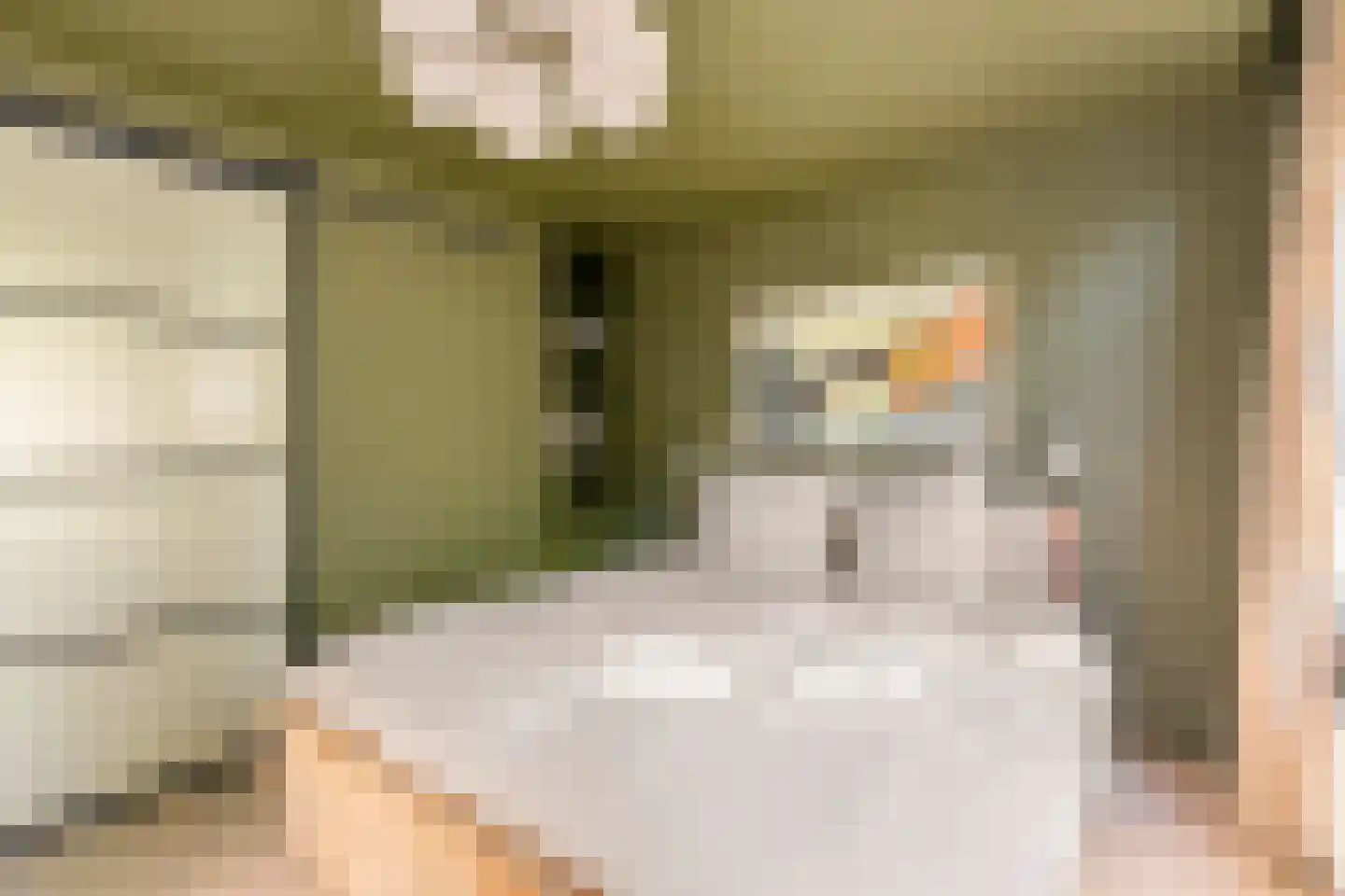 Da Costastraat 111 1 Amsterdam thumbnail 12