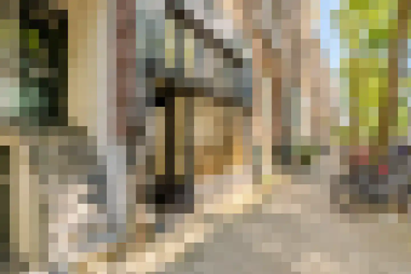 Da Costastraat 111 1 Amsterdam thumbnail 23