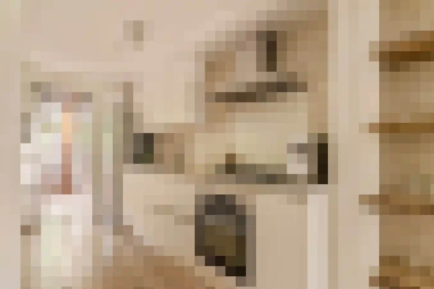 Da Costastraat 111 1 Amsterdam thumbnail 6