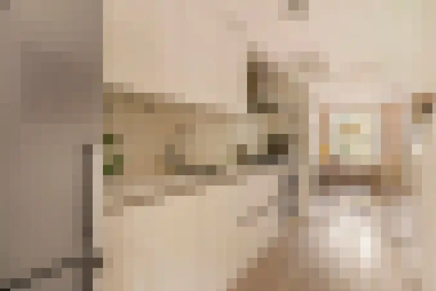 Da Costastraat 111 1 Amsterdam thumbnail 7