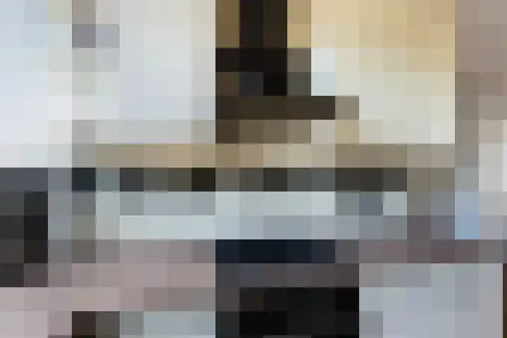 Da Costastraat 117 Lekkerkerk thumbnail 10