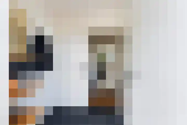 Da Costastraat 117 Lekkerkerk thumbnail 13