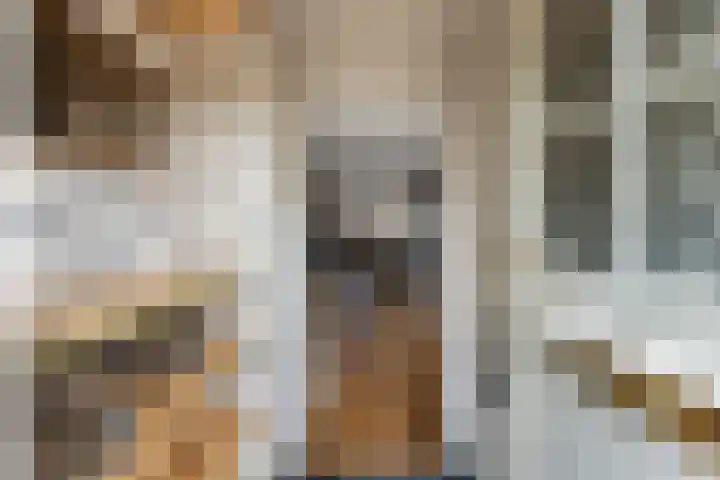Da Costastraat 117 Lekkerkerk thumbnail 15