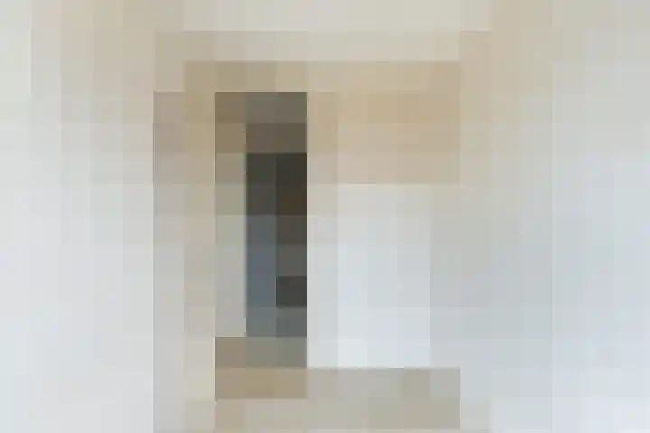 Da Costastraat 117 Lekkerkerk thumbnail 22