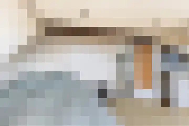 Da Costastraat 117 Lekkerkerk thumbnail 32