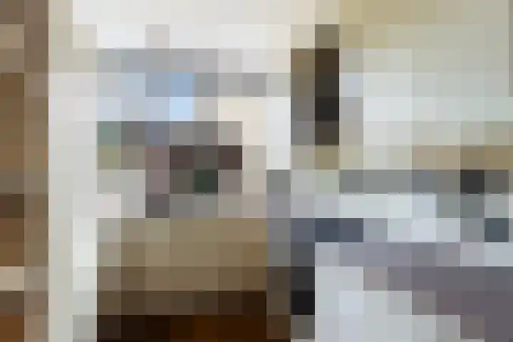 Da Costastraat 117 Lekkerkerk thumbnail 4