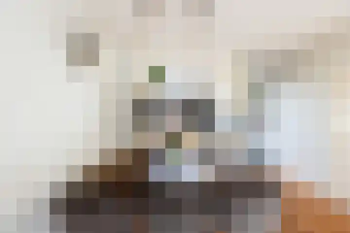 Da Costastraat 117 Lekkerkerk thumbnail 8