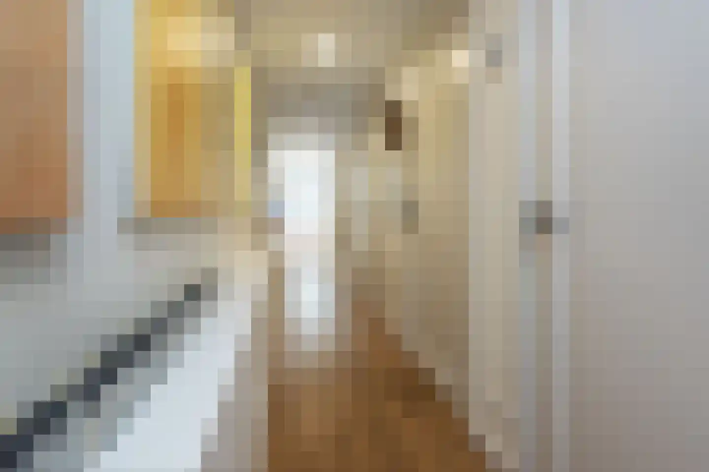 Da Costastraat 117 O Amsterdam thumbnail 4