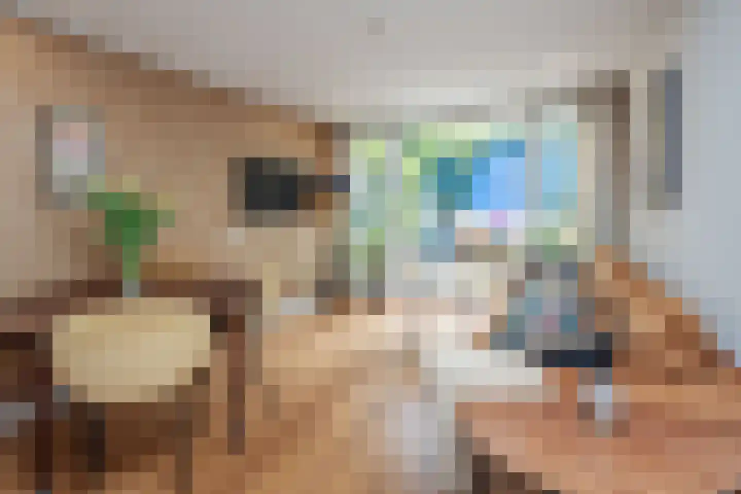 Da Costastraat 117 O Amsterdam thumbnail 7