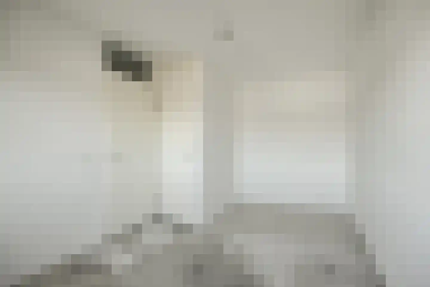 Da Costastraat 117 Rotterdam thumbnail 22